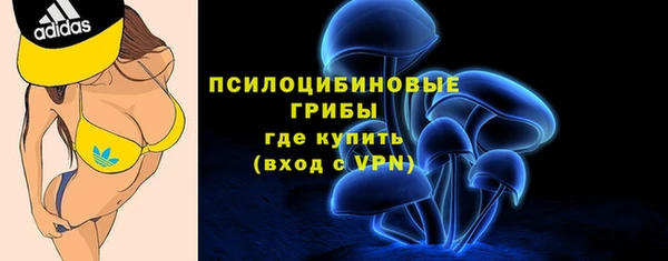 спиды Алексеевка
