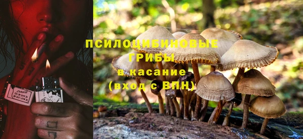 спиды Алексеевка