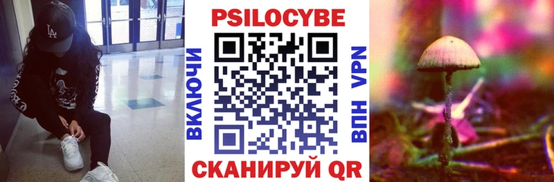 купить  сайты  Конаково  Галлюциногенные грибы Psilocybine cubensis 